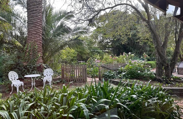 Birch Studio Koroit - Peaceful, Relaxing, Tranquil