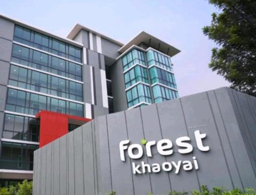 Bird's nest forest khaoyai