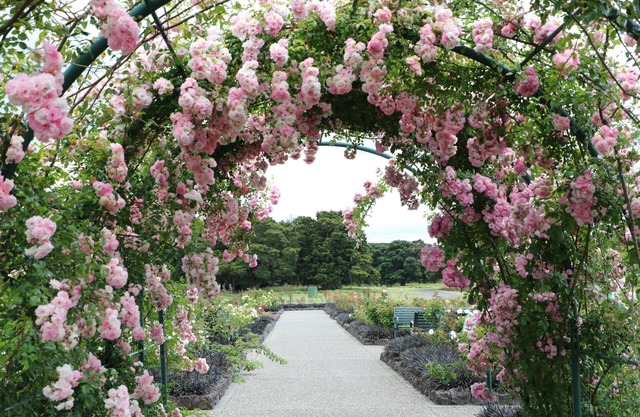 Bk's Counties Motor Lodge