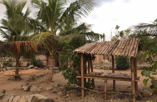 Black Cotton Beach Houses