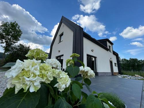 BLACK & WHITE HOUSES