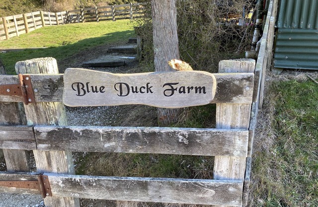 Blue Duck Valley Woolshed
