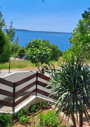 Blue&Green Apartment