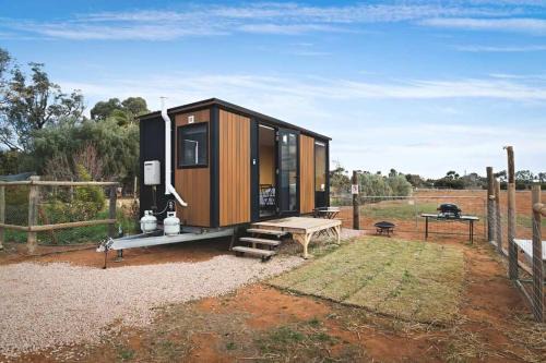 Bluestone Alpacas Theodores Corner by Tiny Away