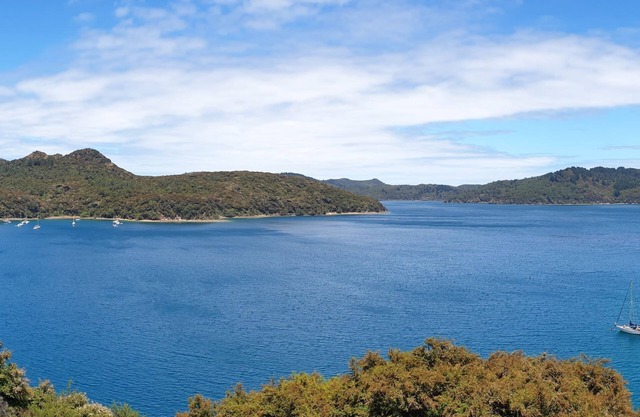Bohohill Apartment - Great Barrier Island Escape