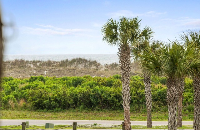 Book now for spring & summer 2025 before availability is gone!
