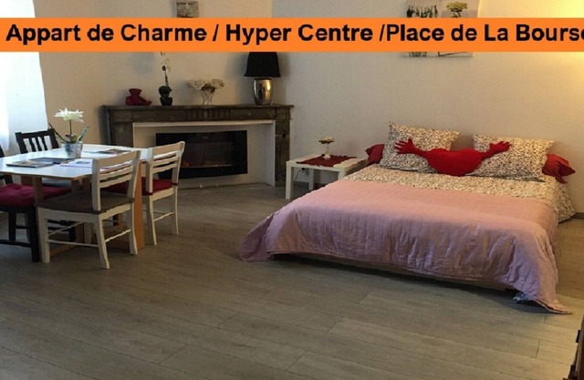 Bordeaux Hyper Center ville Rue Courbin renovated, cozy and bright