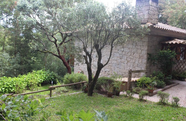 Bouço Velho's Corner