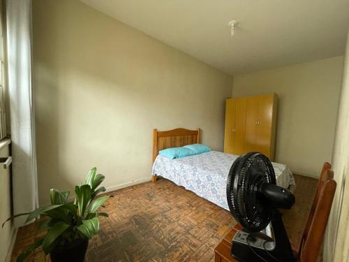 bougainville da poeira