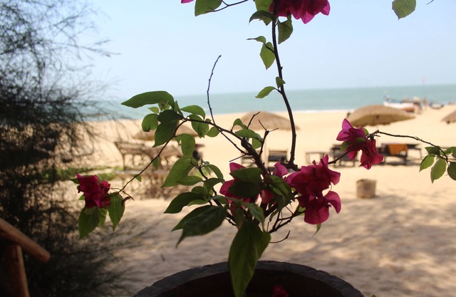 Bougainvilleapatnem beautiful eco friendly cottages