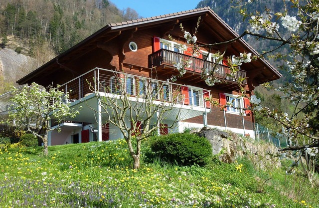 Bright attic flat in Chalet Bärgblick