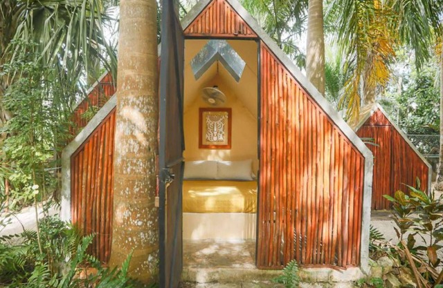 Bufo Alvarius Sanctuary