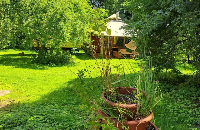 Bungalow for 6 guests with 100m² in Danneborth (58272)