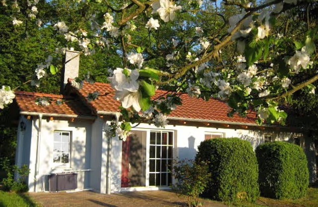 Bungalow 'Am Haussee' with Lake View, Private Terrace and Wi-Fi