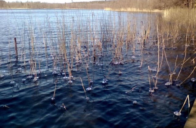 Bungalow by a bathing lake in the Märkische Schweiz Nature Park - an hour's drive from Berlin