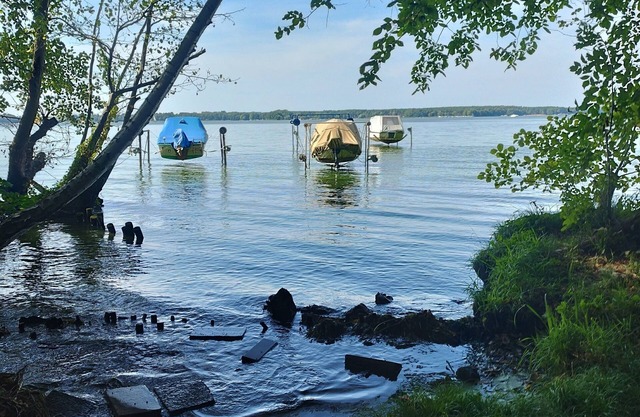 Bungalow for 2 guests with 45m² in Schwielochsee (267936)