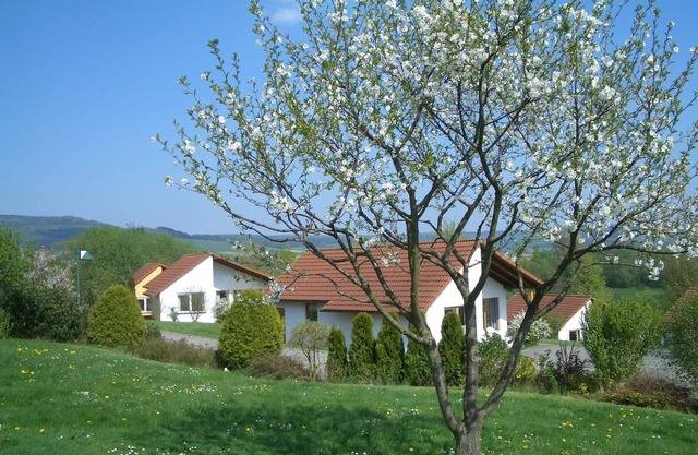 Bungalow im Feriendorf Uslar mit Gartenterrasse
