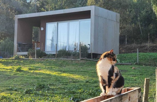 Bungalow your refuge in the Serra da Lousã | Nature, Adventure & Tranquillity.