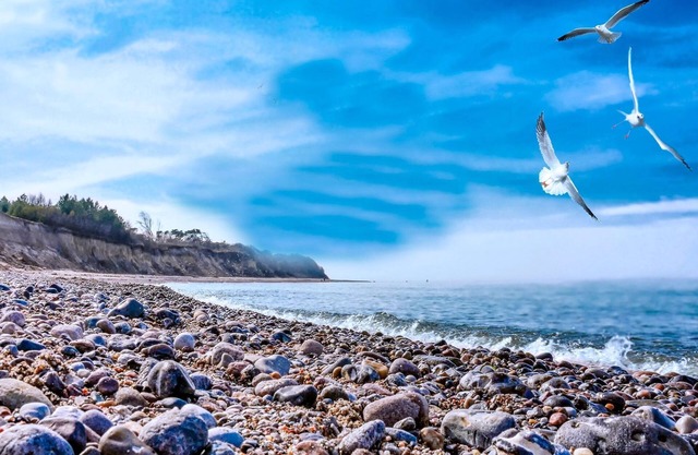 Bungalowdorf Sonne & Meer - Category 2 No. 2 - Ferienpark Bakenberg