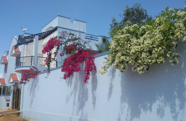 Bunglow to rent fully furnished for rent