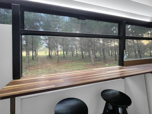 Bussie McBusFace, converted bus in Little River