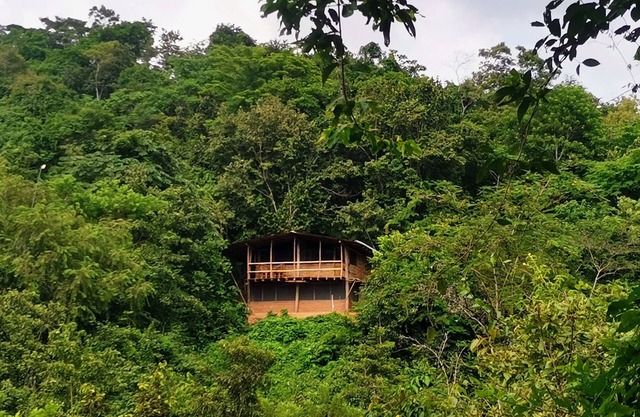 Cabaña Guarumbo - Connection with Nature