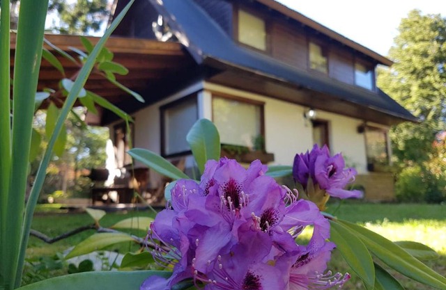 Cabaña Modern Family