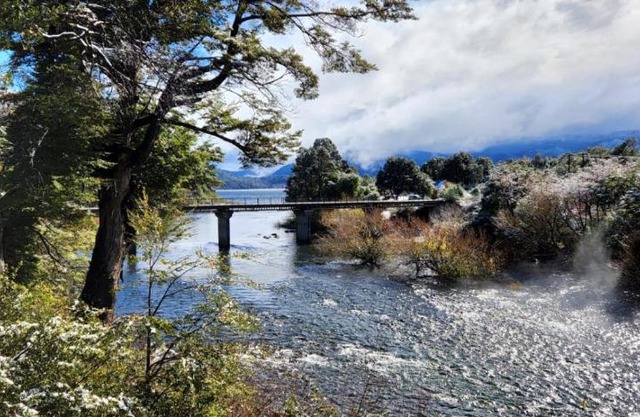 Cabaña San Martin de los Andes, Lolog
