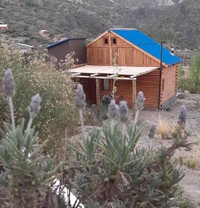 Cabañas Piquillin Potrerillos Mendoza