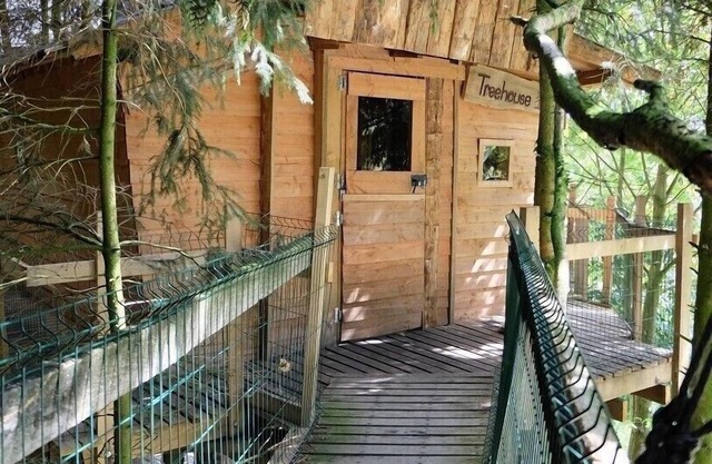 Cabane dans les Arbres - Tree House
