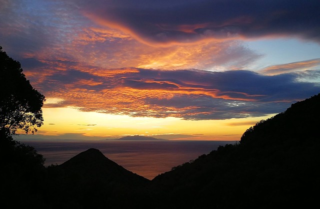 Cabin deluxe in the trees somptuous sea view in Corsica for couples in love