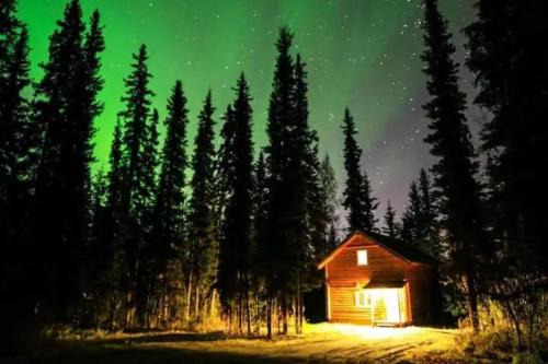 Cabin in the woods Fairbanks, Alaska, United States