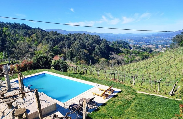 Cabreiros de Baixo House | Alvarinho Vineyard | Rural Nature