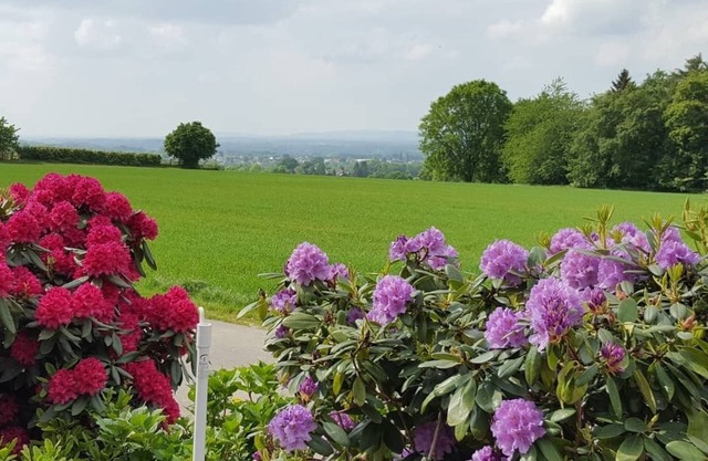 Café Sonnenschein & Pension
