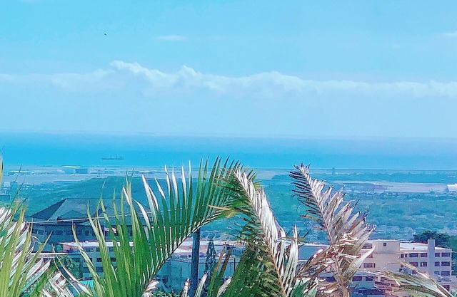 Calm Oasis in Paradise! Ocean view, Summer Special!