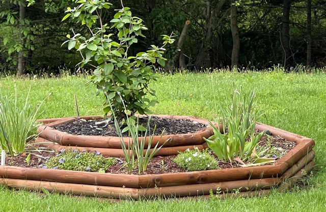 Campground style living in country setting.