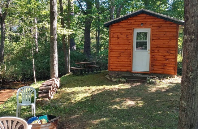 Cannabis Cabin 2 (with extras)