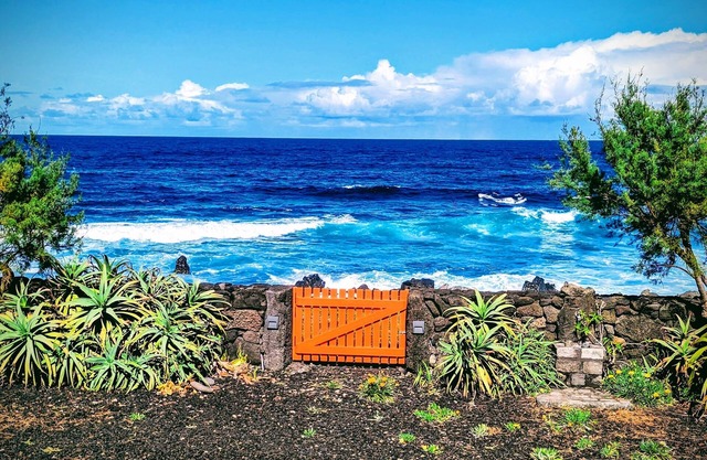 Casa Baleia Laranja Ocean-Front