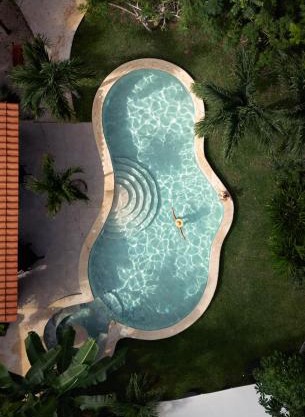 Casa Cactus Buenavista