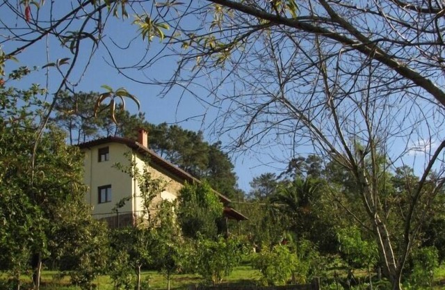 Casa Caleyos for 8 people