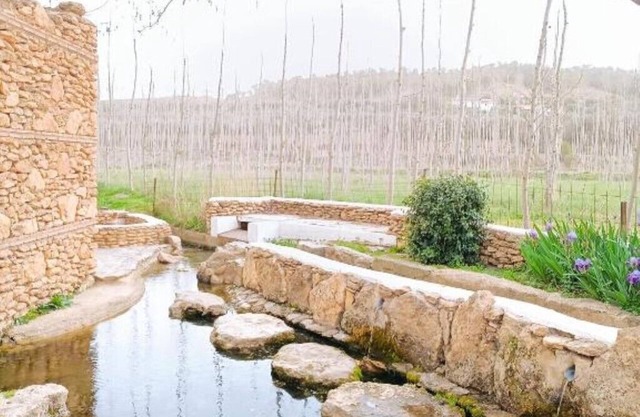 Casa Cueva La Exclusiva Real Cueva Andaluza