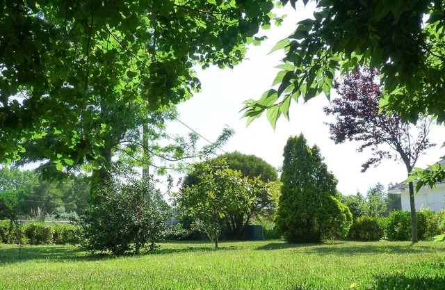 Casa da Balseira a serene stay nearby Aveiro