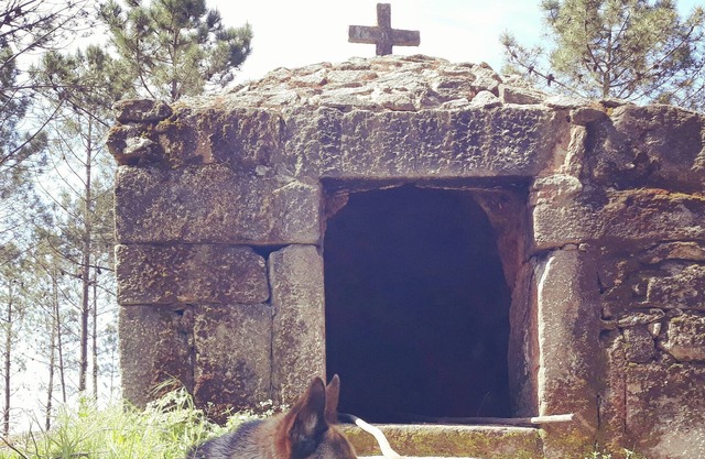 Casa da Guia, Free Wi-Fi and Pool View