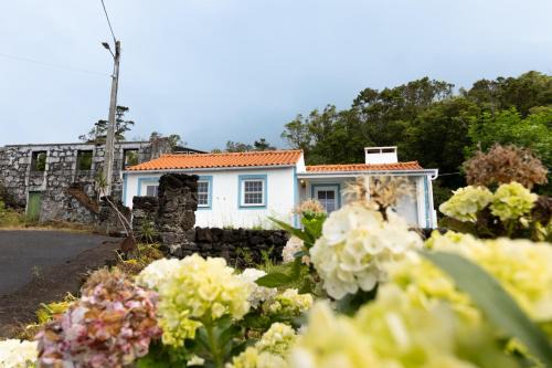 Casa da Mãe - Entre o Pico e a Maré