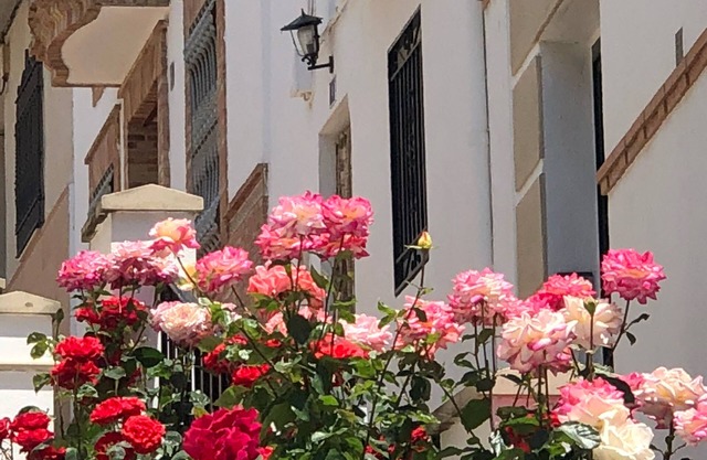 CASA DE LA CAÑADA Carchelejo (Jaén) - Spain