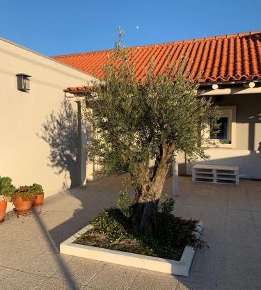 Casa do Avô Ezequiel