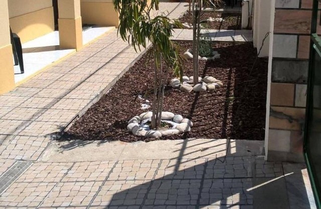 Casa do Limoeiro - Ground floor