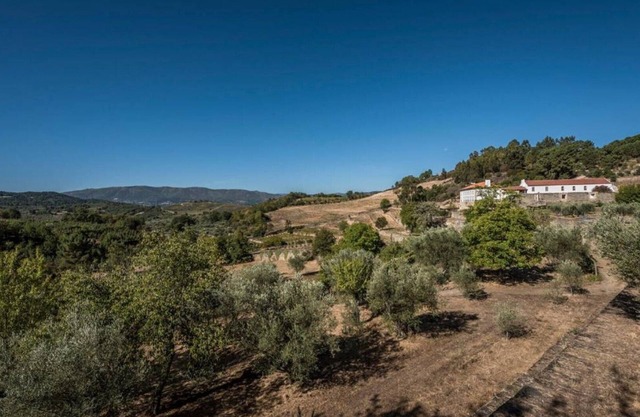 Casa do Olival One-Bedroom Studio