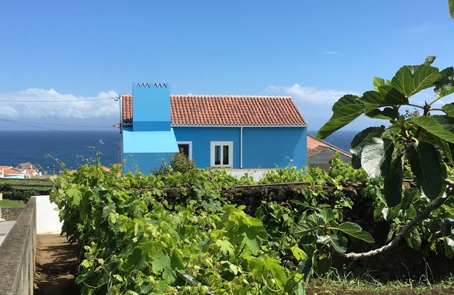 Casa do Vizinho - an oasis of relaxation