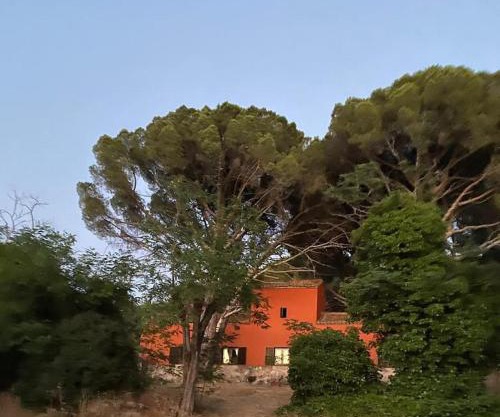 Casa en campo para desconectar en Madrid con Animales